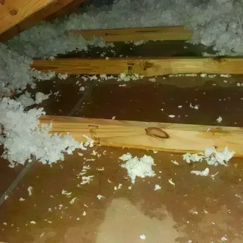 Attic Water Damage in Dublin, OH