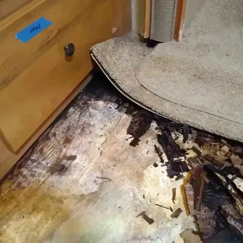 Wood Floor Water Damage in Dublin, OH